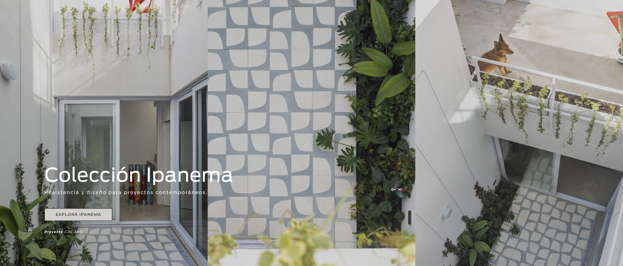 portada-web_04. Coleccio╠ün Ipanema